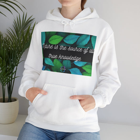 Warm Hoodie, Plush Hoodie, Green Hoodie, Unisex Heavy Blend™ Hooded Sweatshirt, Made using 100% ethically grown US cotton,Sush Dopamine Decor